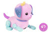 Lil' Cutie Pup - Star Paws