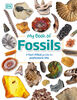 My Book of Fossils - Édition anglaise