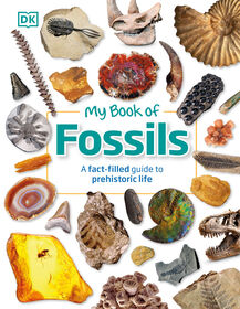 My Book of Fossils - English Edition