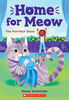 Home For Meow #1: The Purrfect Show - Édition anglaise