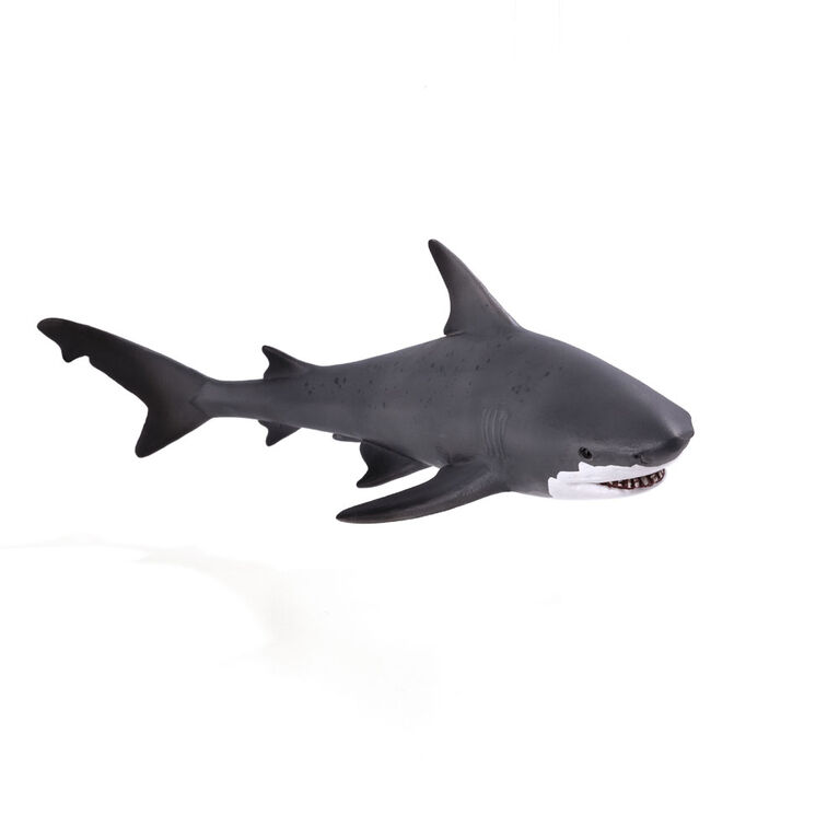 ALEX - Bull Shark - Large