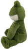 World's Softest Lushees 16" - Flyer Frog plush