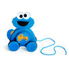 Snack & Stroll Cookie Monster Wooden Pull Toy