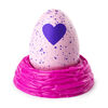 Hatchimals CollEGGtibles Season 2 - 2-Pack + Nest (Styles & Colors May Vary) by Spin Master