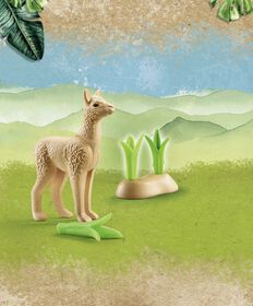 Playmobil - Wiltopia - Young Alpaca