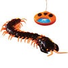 Animal Planet - Radio Control Giant Centipede - R Exclusive