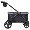 Expedition 2-in-1 Chario de poussette