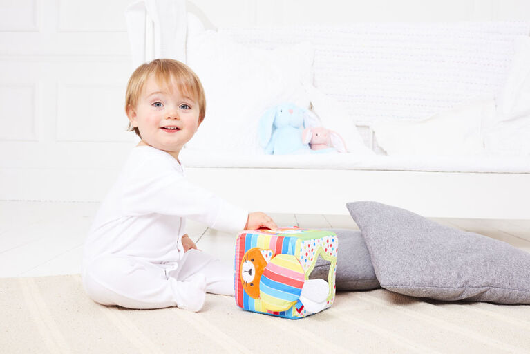Blossom Farm Activity Cube
