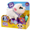 Little Live Pets My Pet Lamb Snowie