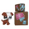 Boxy Girls Pets - Buttons