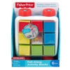 Fisher-Price - Blocs d'activités à tirer