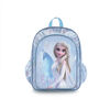 Heys - Frozen Backpack