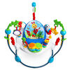 Baby Einstein Neighborhood Symphony Activity Jumper.