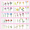 MAX Build More Premium Flowers Building Bricks Collection by ZURU