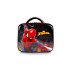 Spiderman Lunch Bag