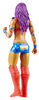WWE Sasha Banks Action Figure.