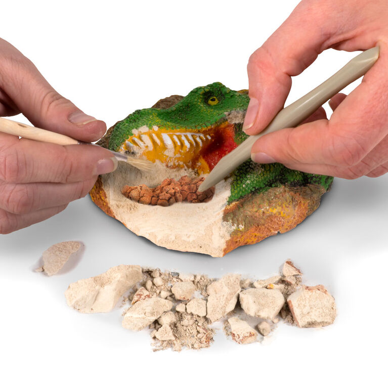 National Geographic Dino Fossil Dig Kit