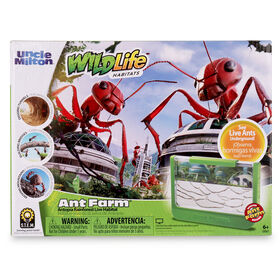 Uncle Milton Ant Farm Antopia Rainforest Ant Habitat