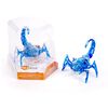 Hexbug Scorpion - Colours Will Vary - One per purchase