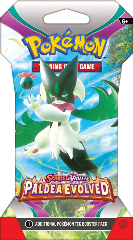 Booster de 10 cartes Pokémon XY en Français ( paquet, sachet)