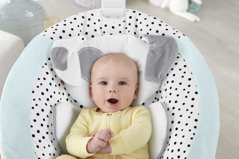 Fisher-Price See and Soothe Deluxe Bouncer