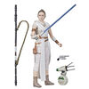 Star Wars The Black Series Rey and D-O 6-inch Scale Star Wars: The Rise of Skywalker Collectible Action Figures