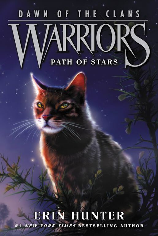 Warriors: Dawn Of The Clans #6: Path Of Stars - Édition anglaise