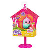 P'tit oiseau et cabane d'oiseau Little Live Pets