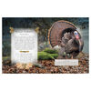 The Little Book of Woodland Bird Songs  - English Edition