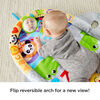 Fisher-Price 2-in-1 Flip & Fun Activity Gym