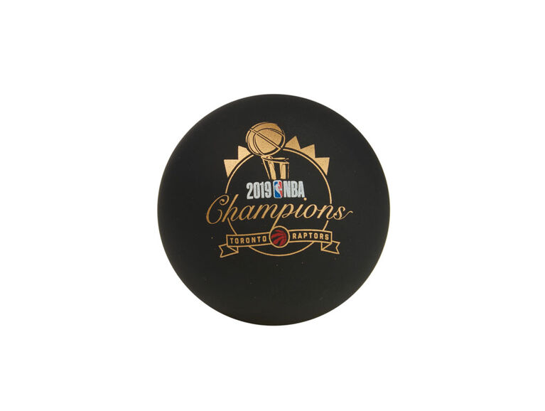 Spaldeen Raptors Championship Ball