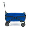 Seina Foldable Outdoor Wagon - Blue