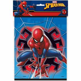 Spider-Man Sacs a Cadeaux, 8un