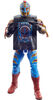WWE Rey Mysterio Elite Collection Action Figure