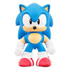 Heroes Of Goo Jit Zu Sonic Hero Pk