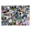 The Canadian Group - Life 1000 Piece Puzzle Assortment