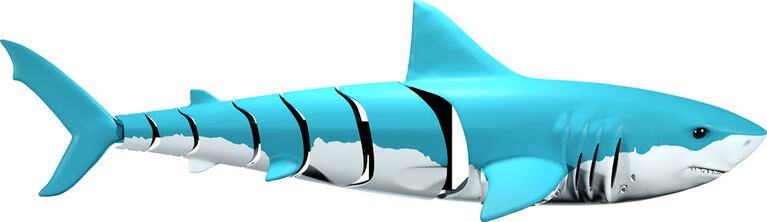 Shark Shark RC