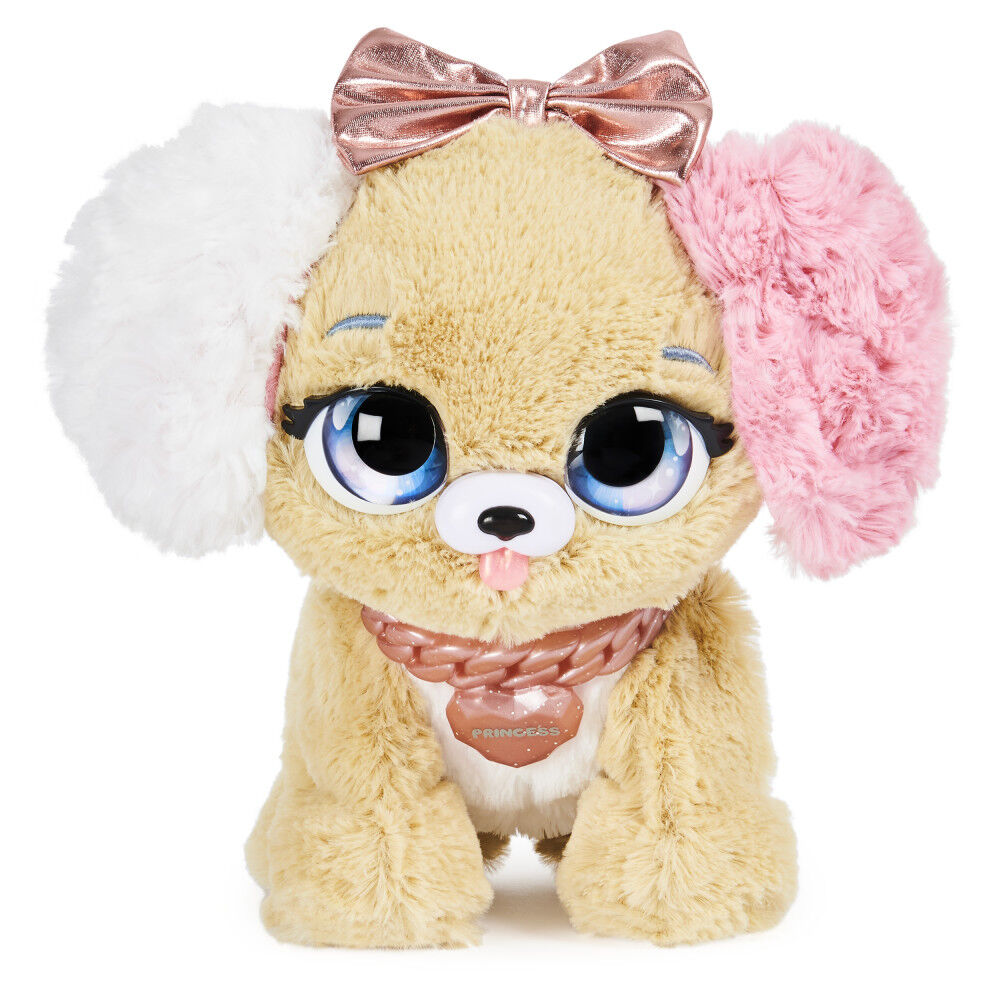 interactive pet toy
