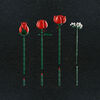 LEGO Botanicals Le bouquet de roses; fleurs artificielles de couleur rouge 10328