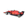 1:24 Formula 1 RC Assortment