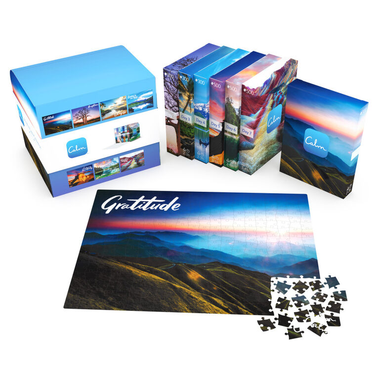 Coffret de 7 puzzles Calm de 500 pièces, idéal pour se détendre, soulager le stress et s'amuser, Assortiment d'oeuvres d'art