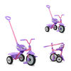 smarTrike 2 in 1 Folding Fun Trike - Purple