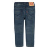 Levis Jean - Marsh Carbon