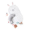 Fisher-Price Baby Bunny Massage Set