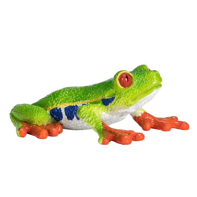ALEX - Red Eyed Tree Frog - Medium