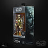 Star Wars The Black Series Carbonized Collection Shoretrooper - R Exclusive