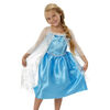 Frozen Dress - Style May Vary