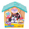Little Live Pets My Puppy's Home Minis - Teal & Orange Home