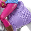 Barbie Doll and Horse with Saddle, Bridle and Reins