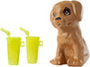 Barbie and Ken Dolls with Puppy Giftset
